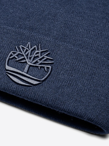 TIMBERLAND Čepice – modrá