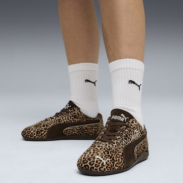 PUMA Sneakers 'Speedcat Wild' in Braun