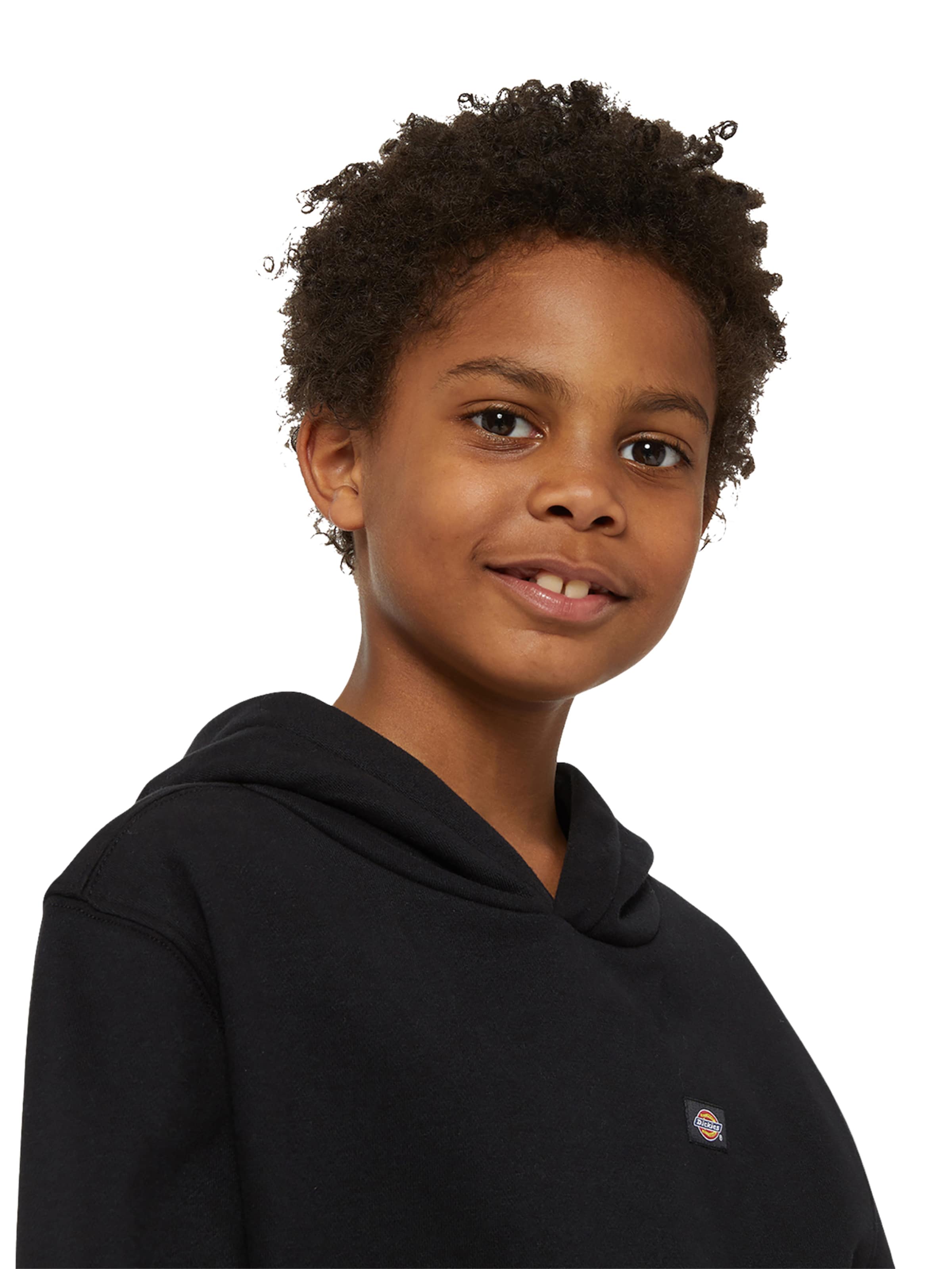 DICKIES - Sudadera 'Oakport' en negro