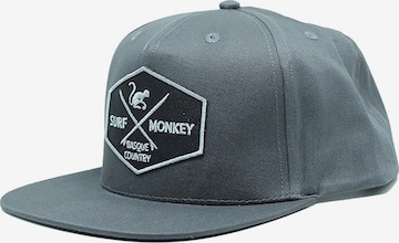 Surf Monkey Athletic Cap in Grey: front