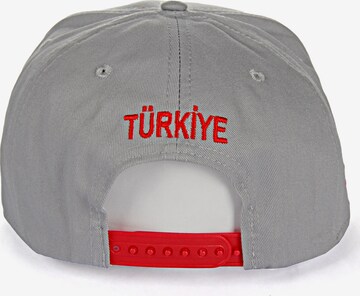 Redbridge Cap 'Furham' in Grey