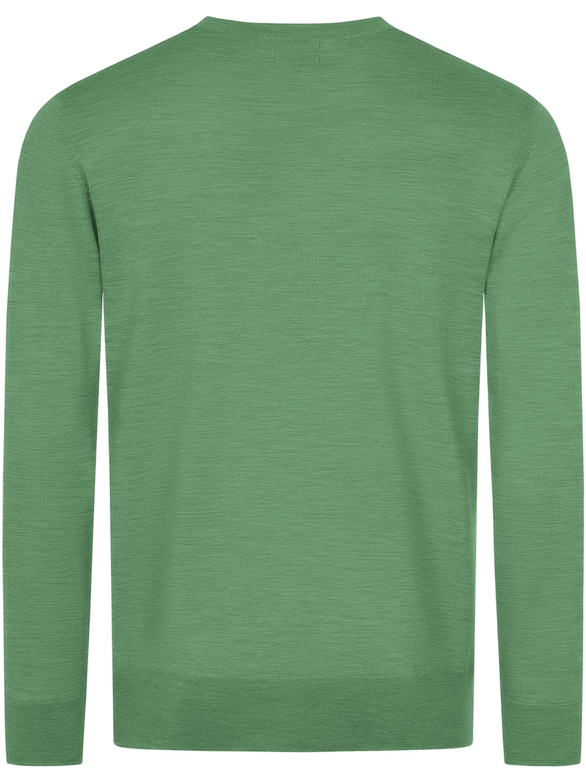 GIESSWEIN Sweater in Green