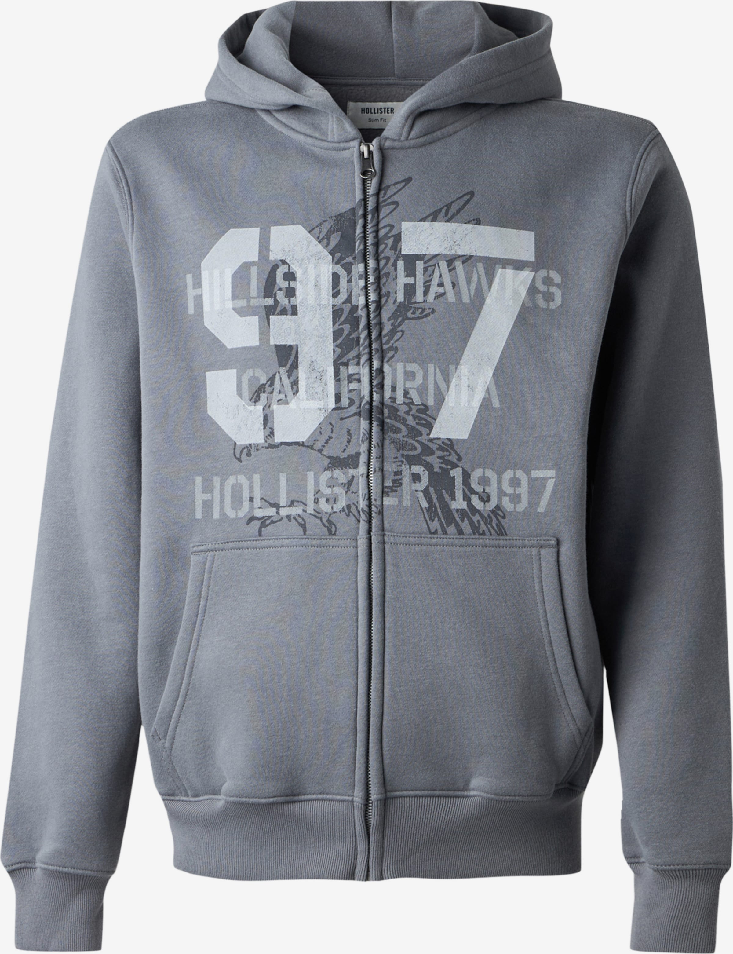 HOLLISTER Hanorac 'MALLCORE'