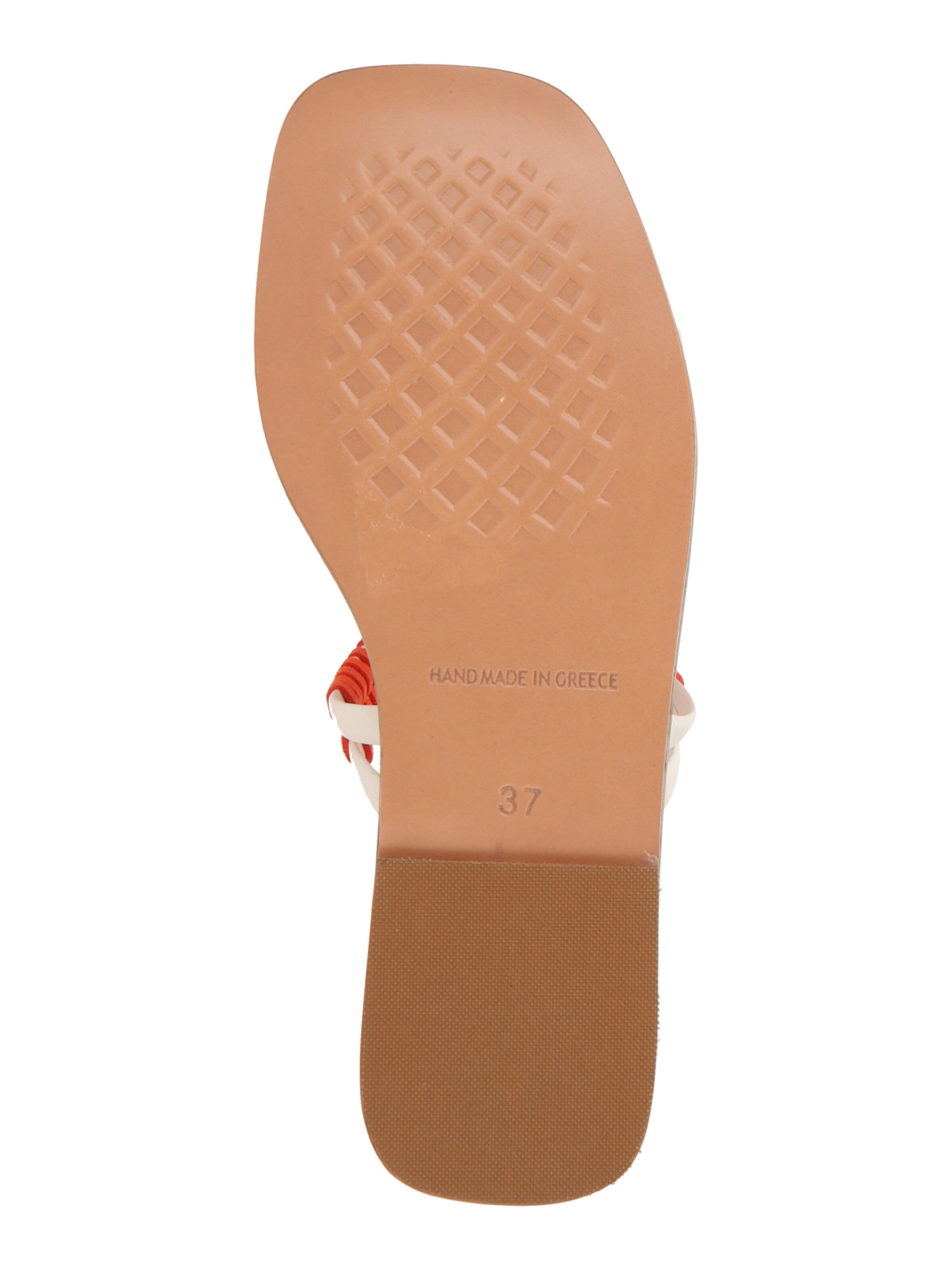 Mule 'Amelia' Marietta's Fantasy en blanc