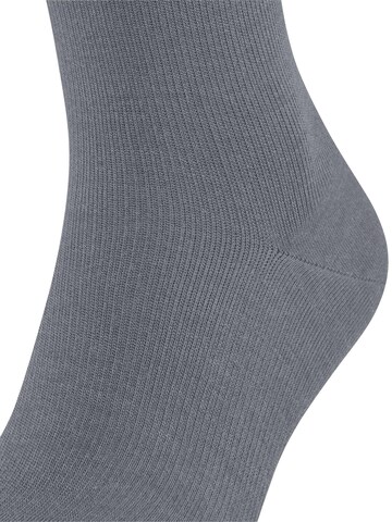 FALKE Kniestrümpfe 'Energizing Wool'‌‌‌‌ in Grau