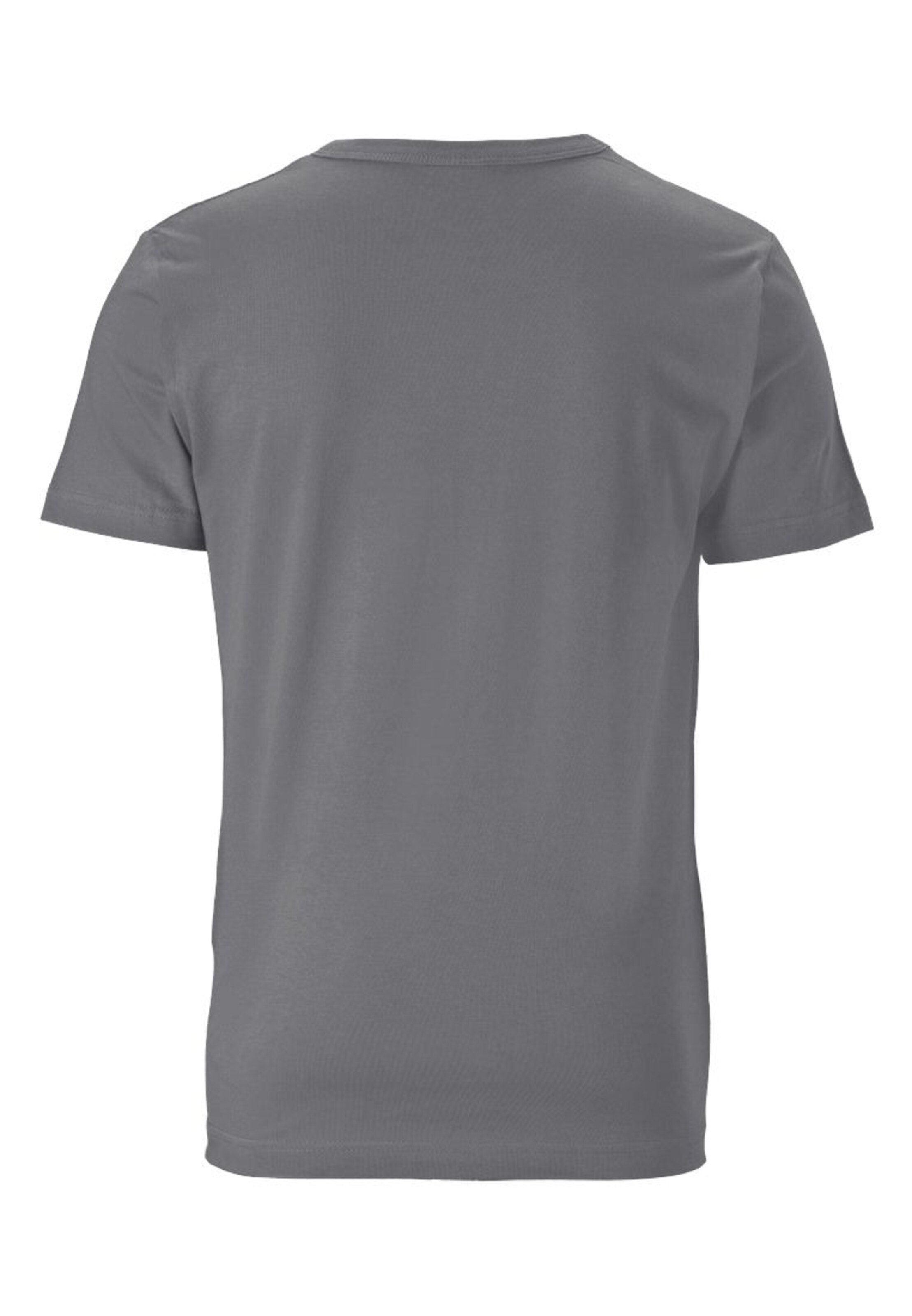 LOGOSHIRT Shirt in Grey
