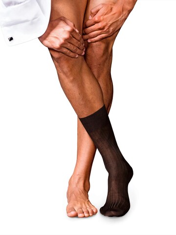 FALKE Socken 'No. 10 Pure Fil d´Écosse'‌‌‌‌ in Braun: Vorderseite