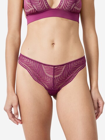 ETAM Thong 'Audace' in Purple: front
