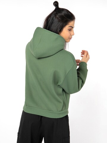 Sublevel Sweatshirt in Grün