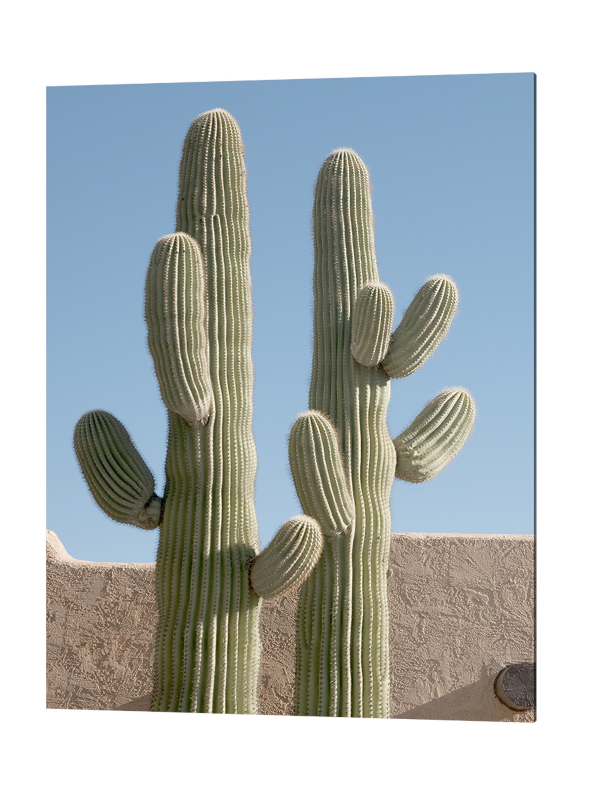 Liv Corday Bild  'Southwest Delight' in Grau: Vorderseite