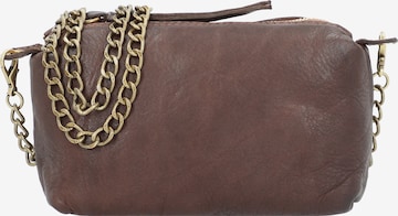 Caterina Lucchi Crossbody Bag in Brown: front