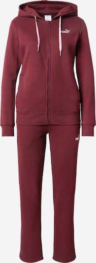 PUMA Odjeća za vježbanje u menta / bordo, Pregled proizvoda