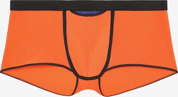 HOM Boxer shorts 'Plume Up HO1' in Orange: front