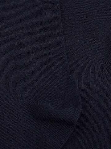 Collant di Next in blu