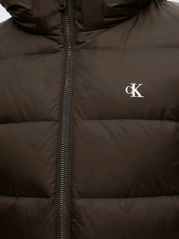 Calvin Klein Jeans Zimska jakna | rjava barva