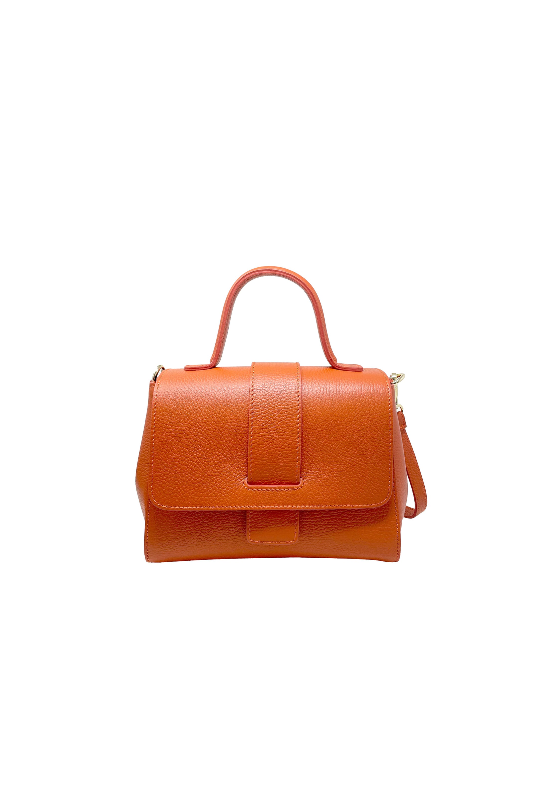 CHICCA BORSE Handbag in Orange: front