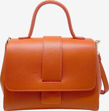 CHICCA BORSE Handbag in Orange: front