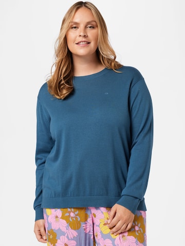 Calvin Klein Curve Pullover in Blau: predná strana