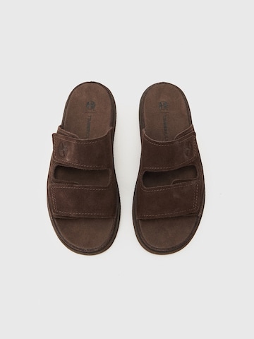 brūns TIMBERLAND Ādas čības