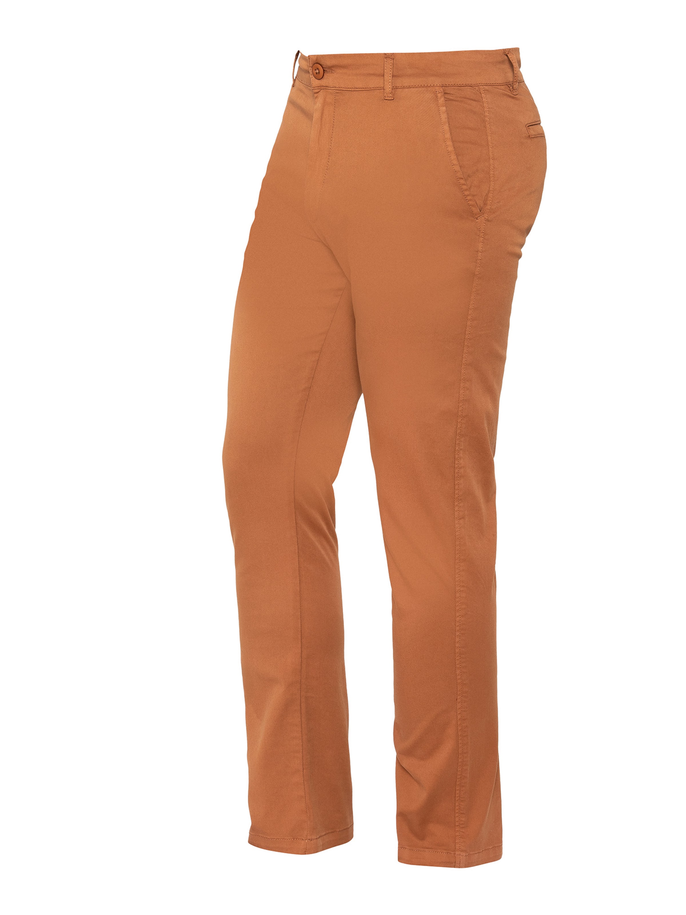 Regular Pantalon Schott NYC en marron