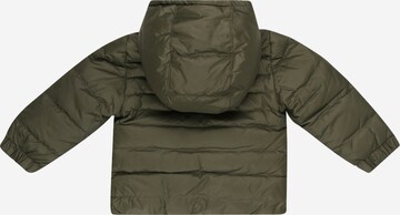 BOSS Kidswear Winter jacket in Green