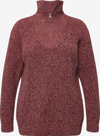 Ulla Popken Pullover (GOTS) in Rot: predná strana