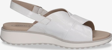 CAPRICE Sandals in White