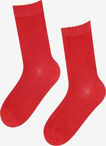 Sokisahtel Socks 'JANNE women's socks' in Red: front