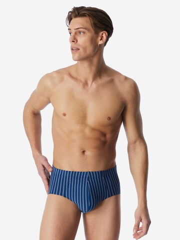 SCHIESSER Slip '95/5 Essentials - Cotton' in Blue