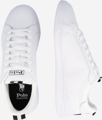 Baskets basses Polo Ralph Lauren en blanc