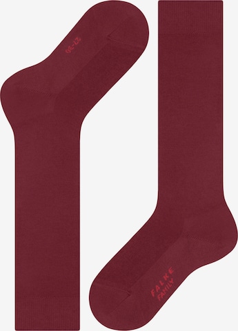 FALKE Socks 'Family' in Red: front