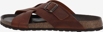 Palado Mules 'Tavros' in Brown: front