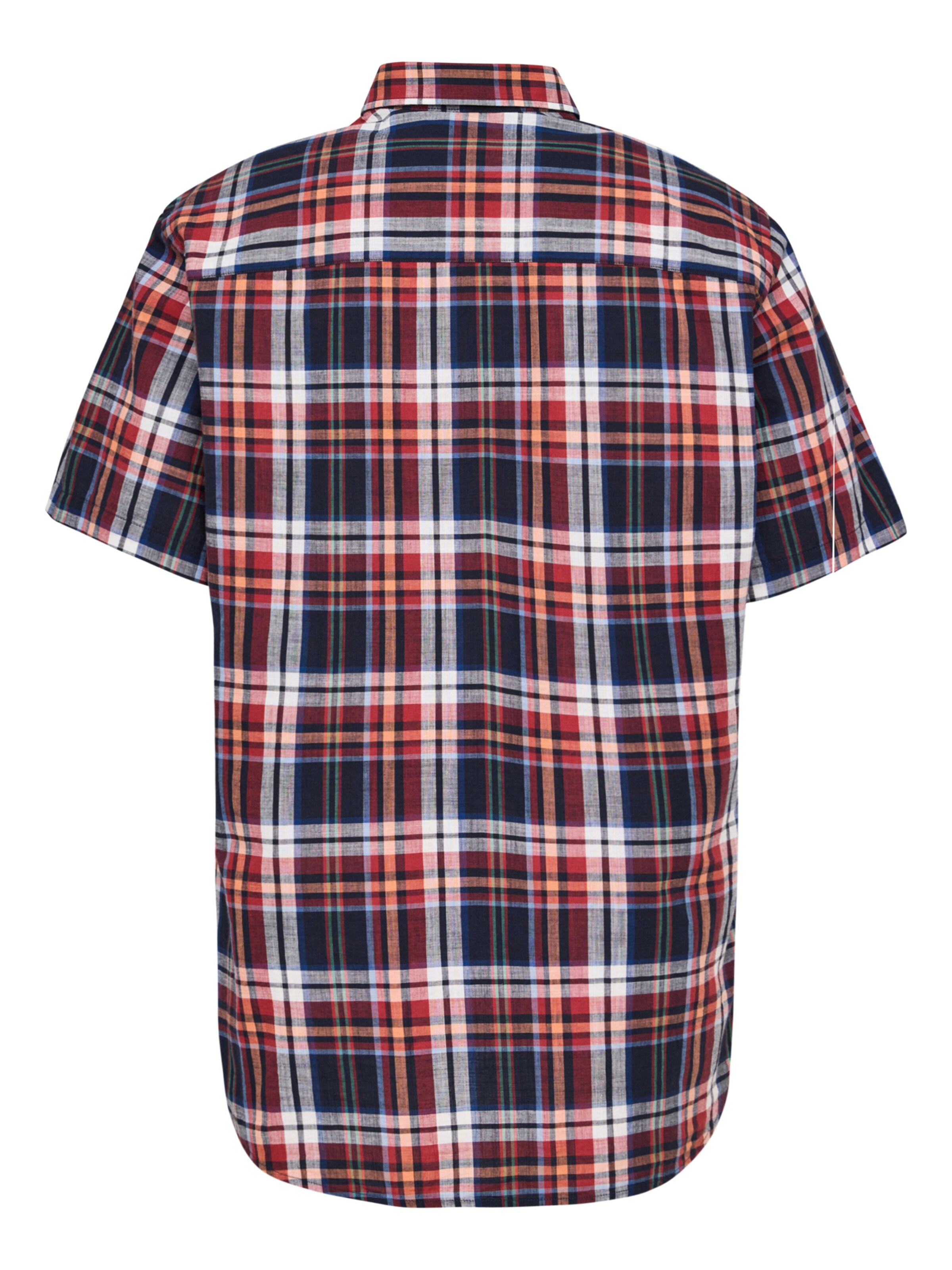 PADDOCKS Regular Fit Hemd in Rot