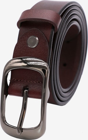 jolar Belt in Brown: front