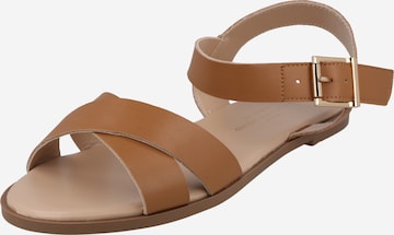 Dorothy Perkins Strap Sandals in Brown: front