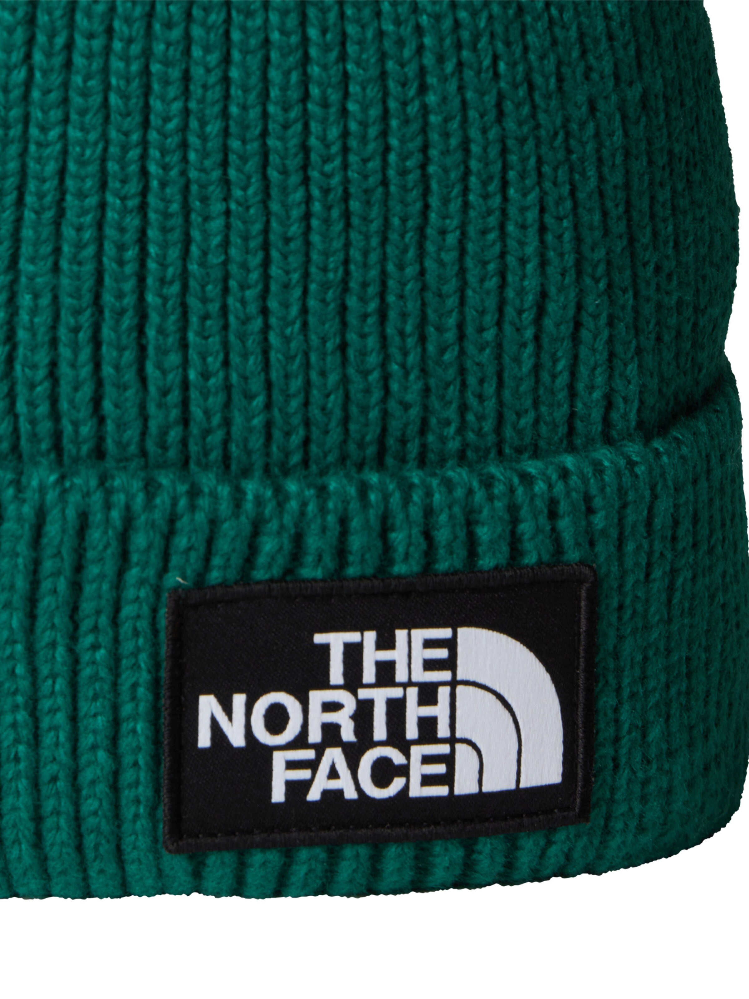 THE NORTH FACE Čiapky - Zelená