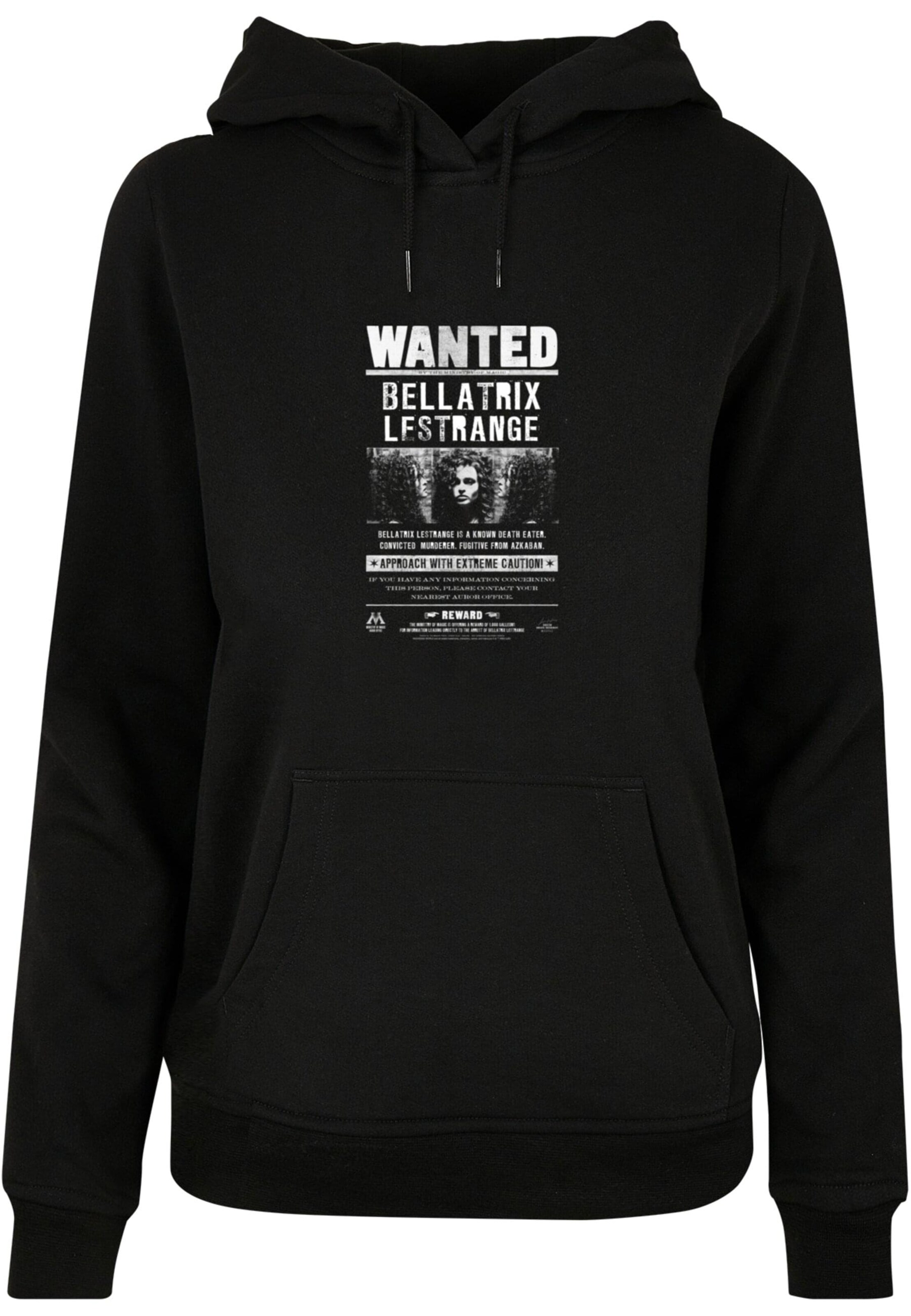 ABSOLUTE CULT Sweatshirt 'Harry Potter' in Schwarz: Vorderseite