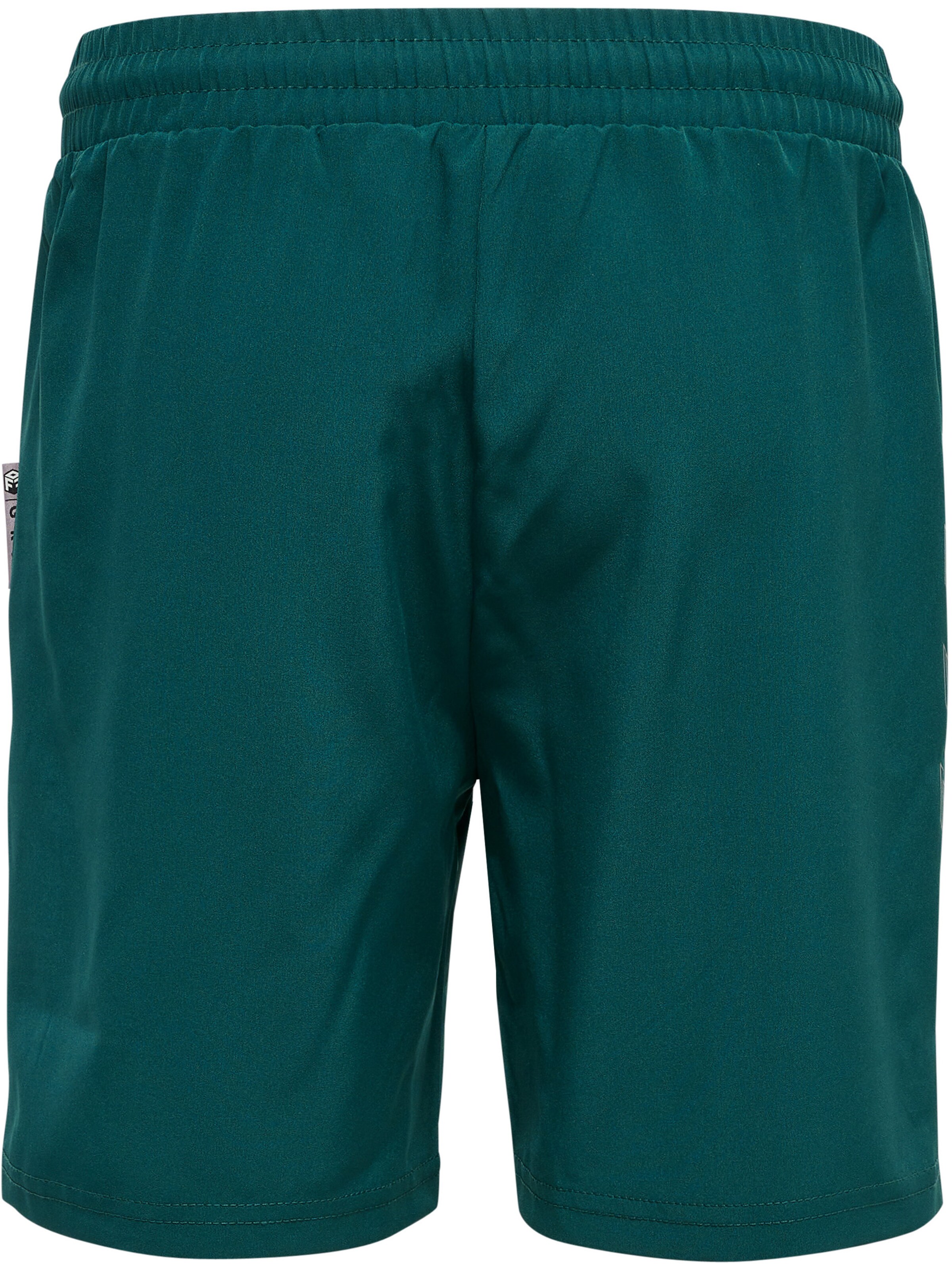 Hummel Regular Sports trousers 'Move' in Green