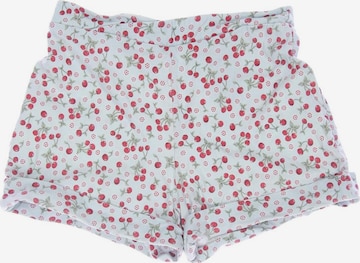 BETTIE PAGE Shorts XL in Grün: predná strana