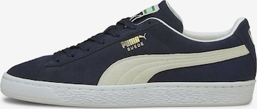 PUMA Platform trainers in Blue: front