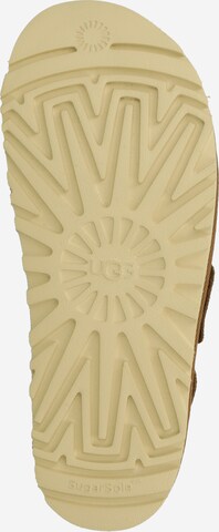 UGG Sandali s paščki 'Goldenstar' | rjava barva