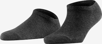 FALKE Füßlinge 'Active Breeze' in Grau: Vorderseite