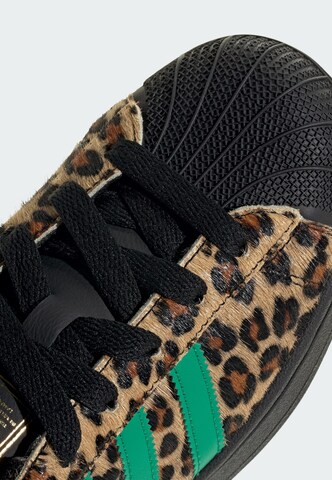Sneaker bassa 'Superstar II' di ADIDAS ORIGINALS in nero