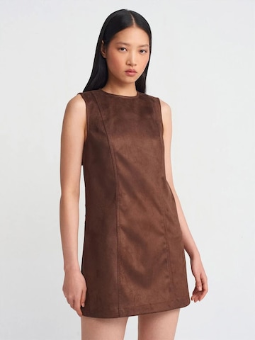 Dilvin Dress in Brown: front