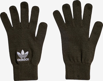 ADIDAS ORIGINALS Vingerhandschoenen in Groen: voorkant