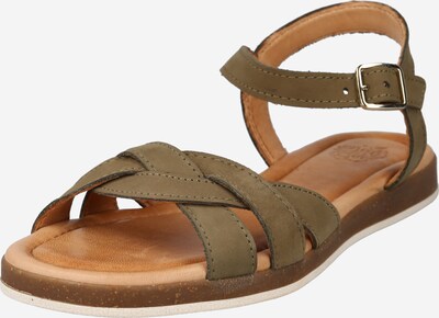 Apple of Eden Sandaal 'Ivone 49' khaki, Tootevaade