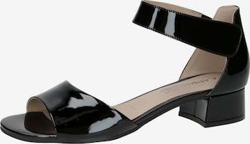 CAPRICE Sandals in Black: front