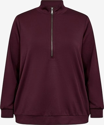 Wasabi Concept Collegepaita 'Sabina' värissä punainen: etupuoli