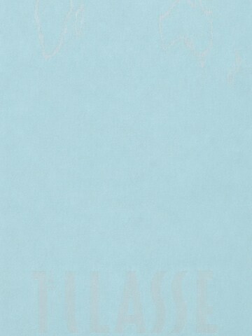 Alviero Martini Scarf in Blue