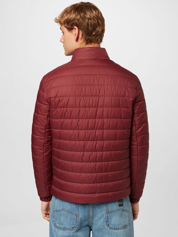 HUGO Red Winter Jacket 'Benti' in Brown